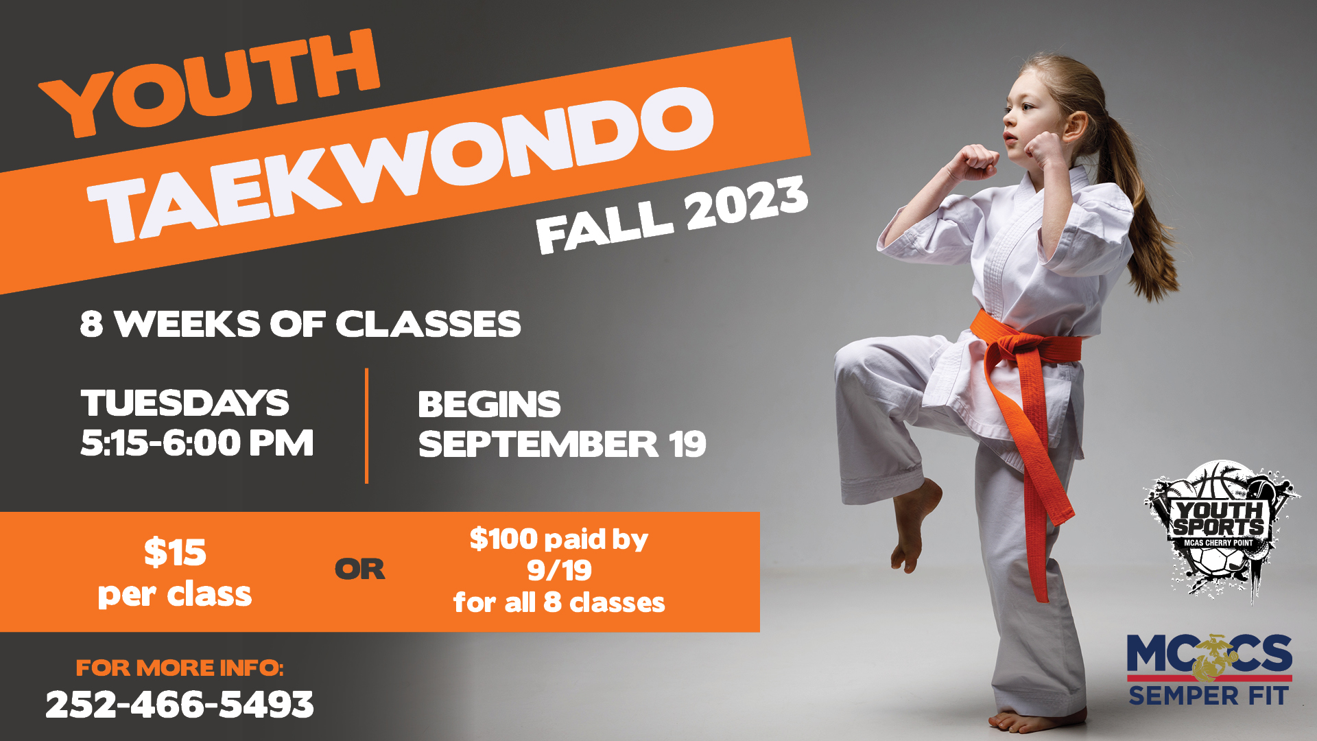 Youth Taekwondo Class Ad