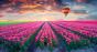 shutterstock_592445141_1.jpg