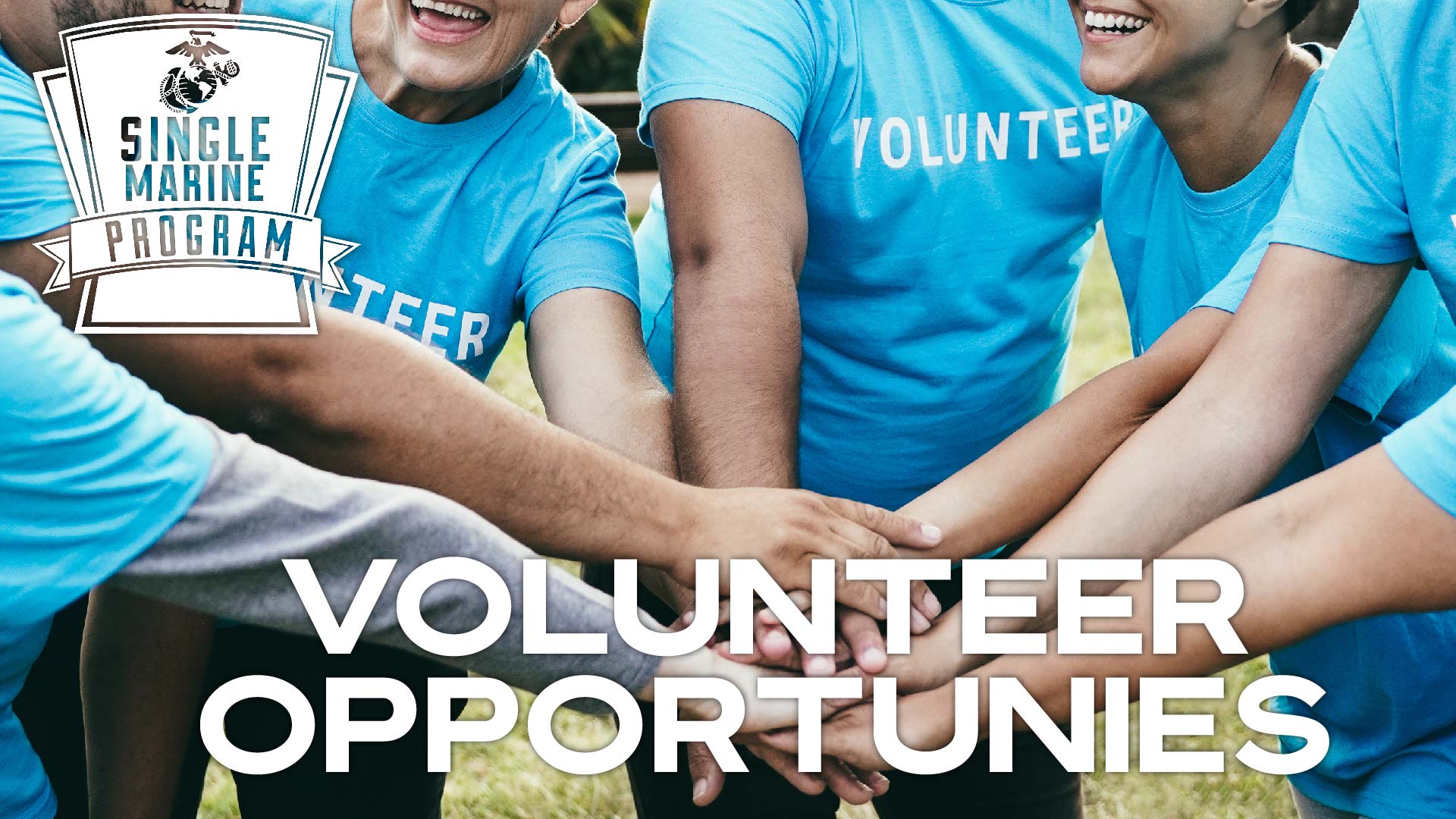 Volunteer: Carteret Humane Society