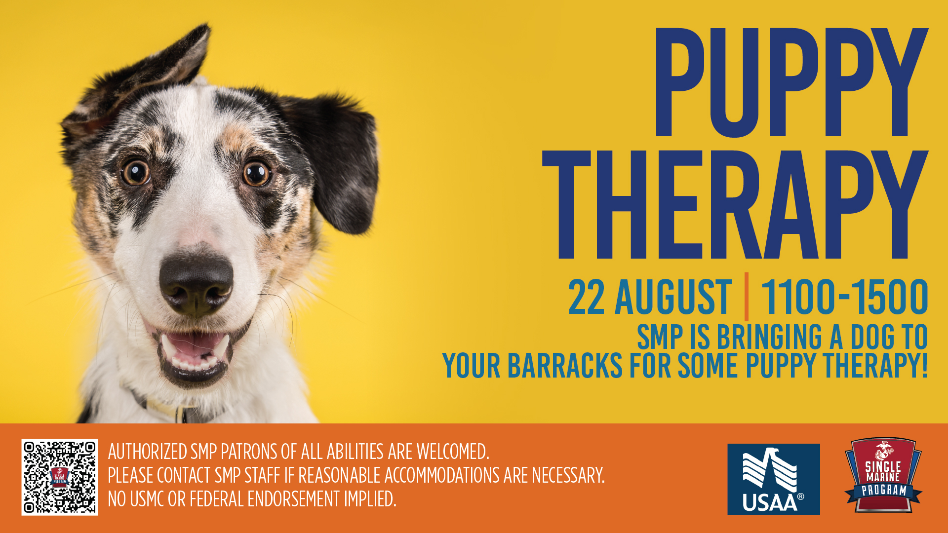 Pet Therapy
