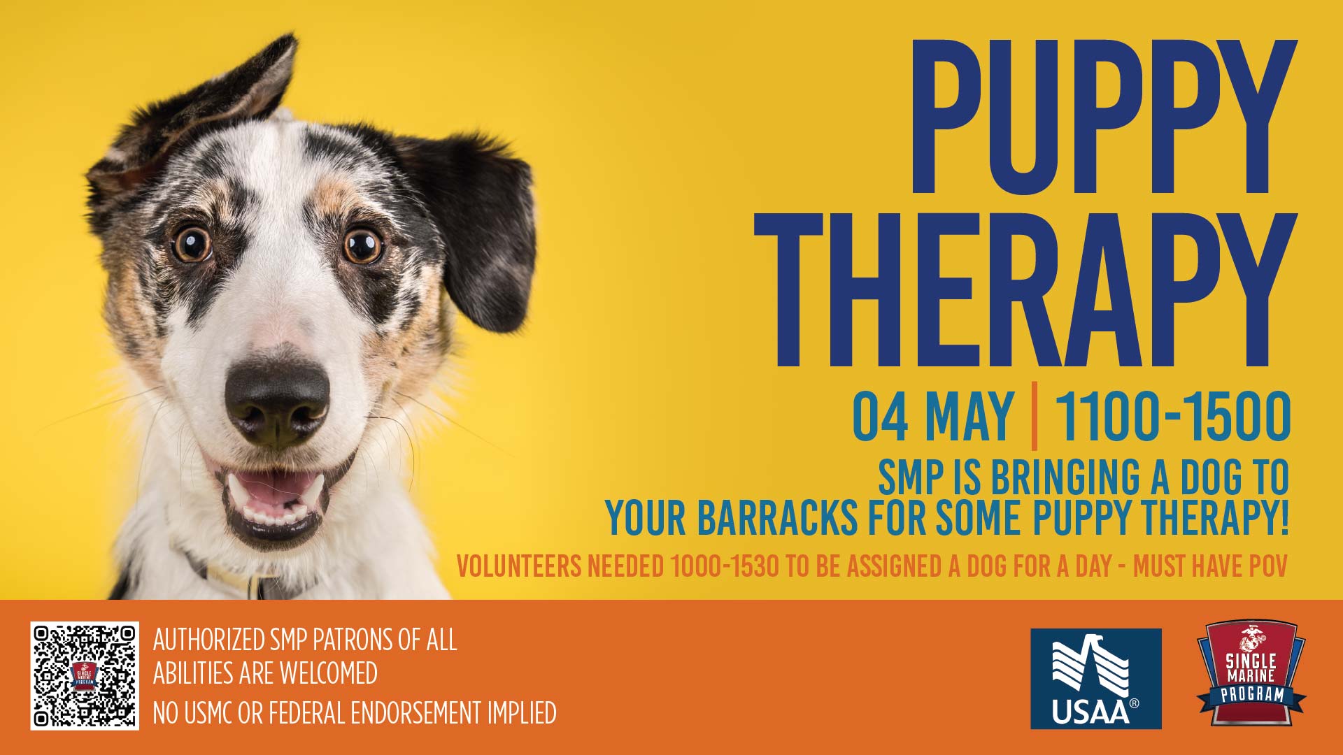 Pet Therapy
