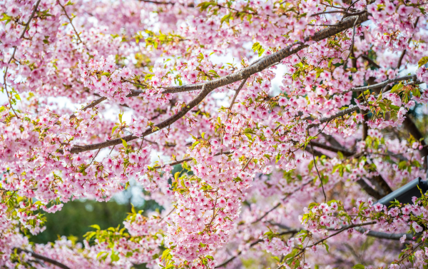 Youth Fitness (Ages 5-6)