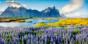 shutterstock_539875846_1.jpg
